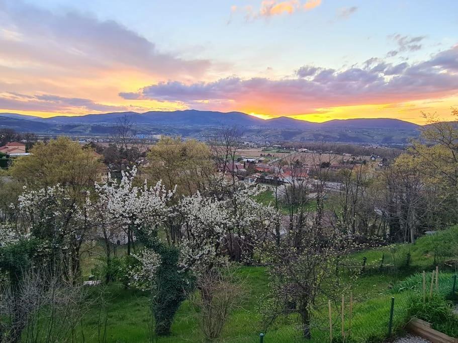 Gite De 70M² Avec Vue Sur Le Massif Du Pilat Clonas-sur-Vareze Exterior foto