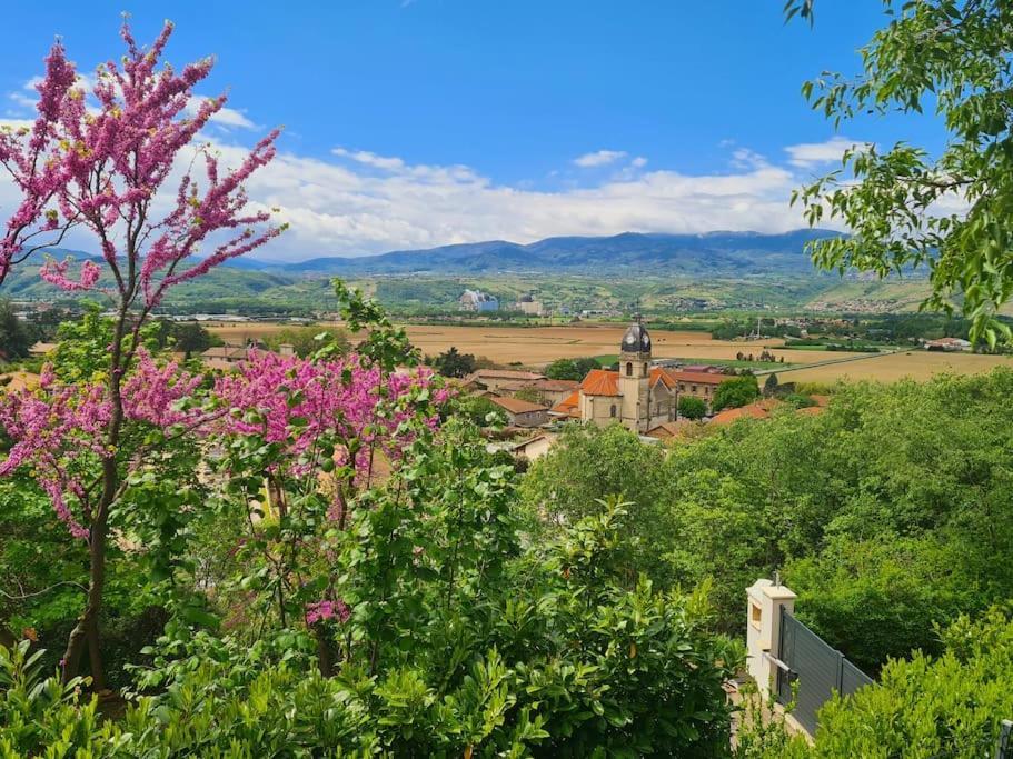 Gite De 70M² Avec Vue Sur Le Massif Du Pilat Clonas-sur-Vareze Exterior foto